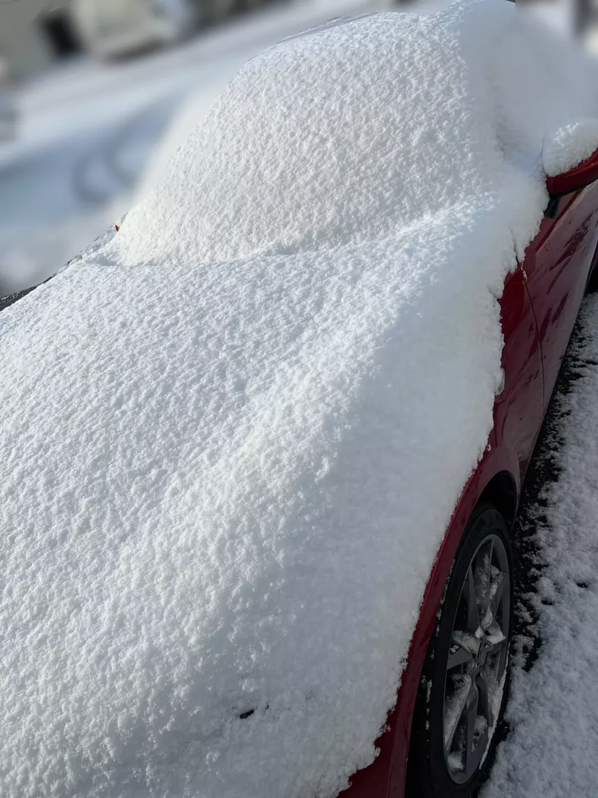 車に積もった雪